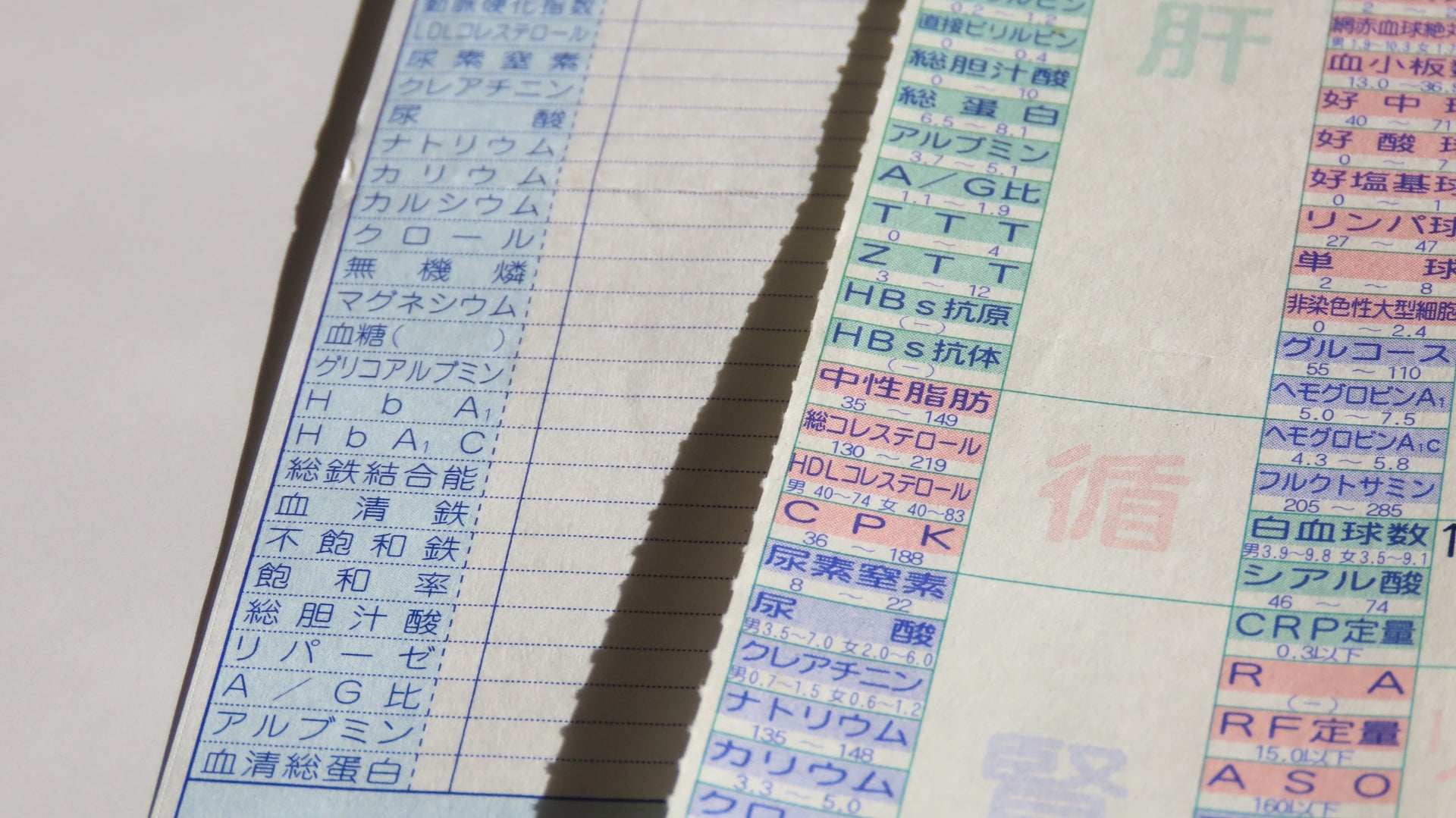 「血液検査で自分を知る」 ～パーフォーマンス低下の原因、欝発症、そして復帰へ～