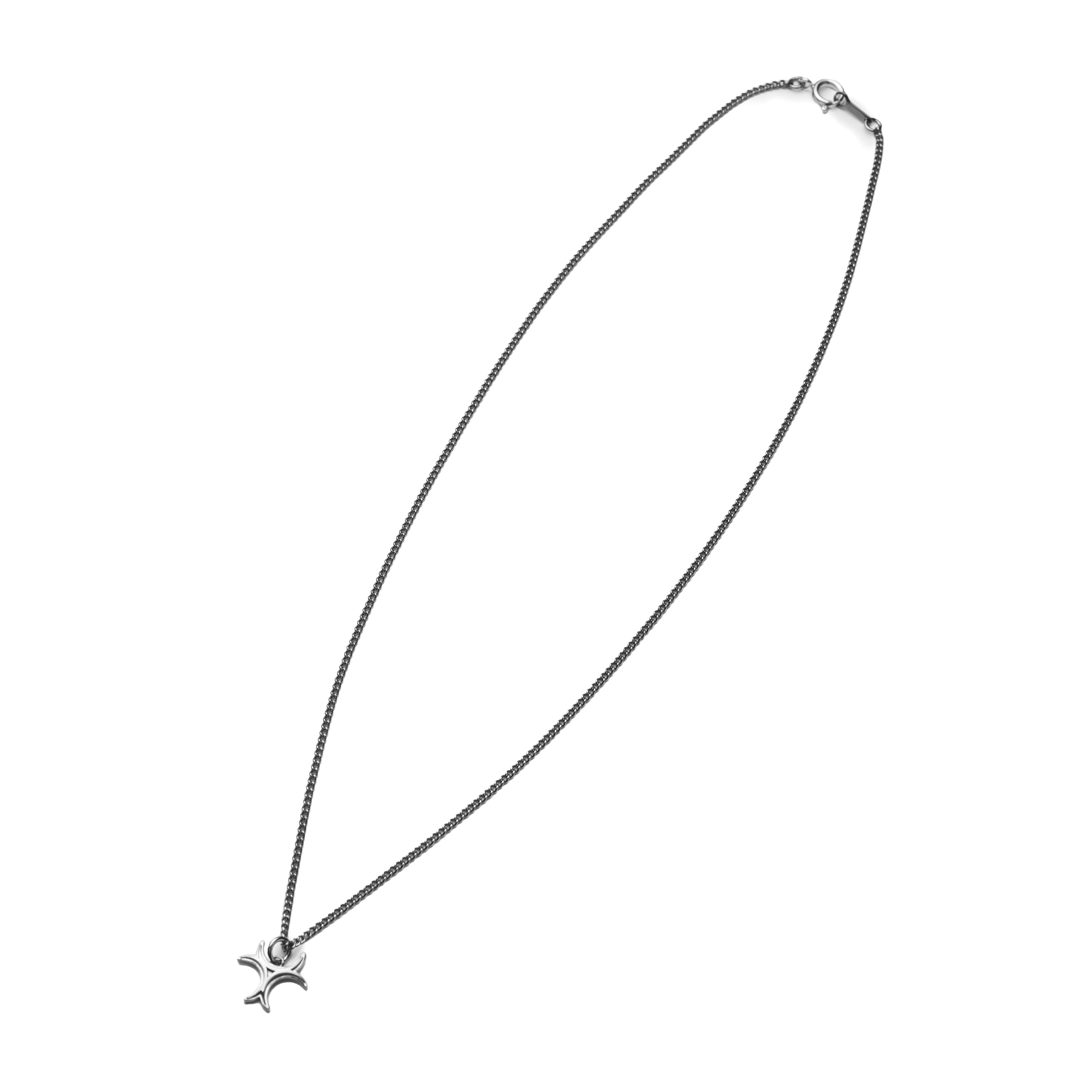 Silver Necklace Logo type