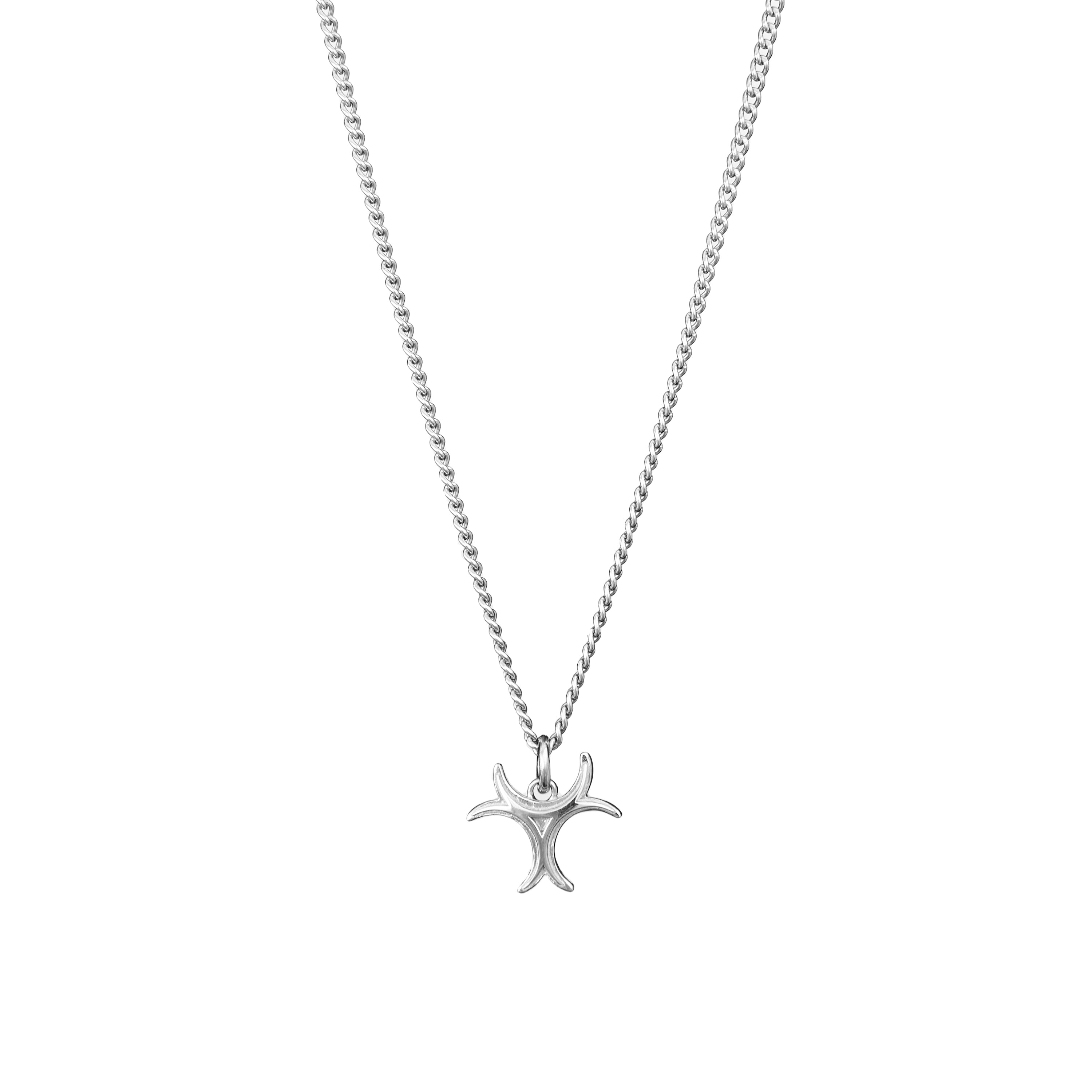 Silver Necklace Logo type